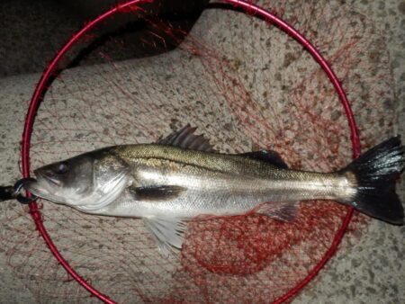 ちょっと聞いて！めちゃ嬉しい‼60・66‼‼　【20260326】